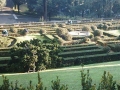città-del-vaticano-giardini-02