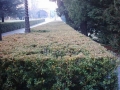 città-del-vaticano-giardini-04
